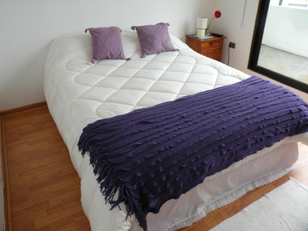 B&B Hostel Casamoro ビニャ・デル・マール 部屋 写真